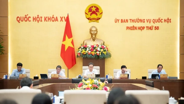 Phiên họp thứ 50 của Ủy ban Thường vụ Quốc hội. (Ảnh: DUY LINH)