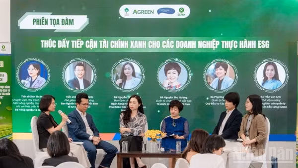 Các diễn giả tại tọa đàm. (Ảnh: HNV)