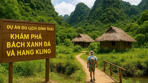 Với sản phẩm du lịch sinh thái “Khám phá Bách xanh đá và hang Kling”, lần đầu tiên, du khách được tham quan quần thể Bách xanh đá hàng trăm năm tuổi ở Vườn quốc gia Phong Nha-Kẻ Bàng.