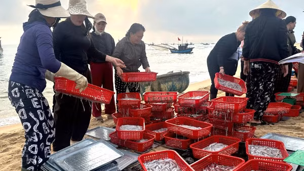 Chợ cá Nhân Trạch họp bên mép sóng tấp nấp mua bán hải sản buổi sáng sớm.