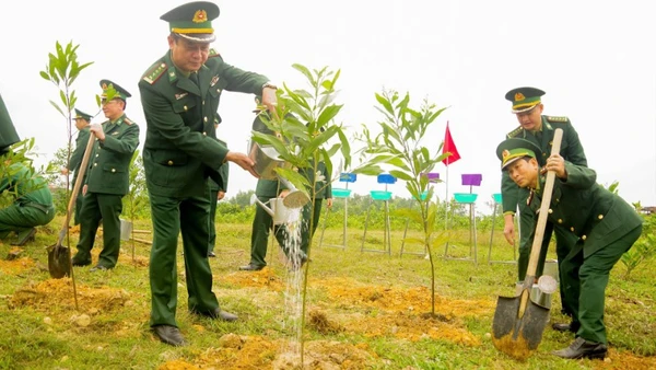 Cán bộ, chiến sĩ Bộ đội Biên phòng tỉnh Quảng Trị ra quân trồng cây đầu xuân Bính Ngọ 2026.