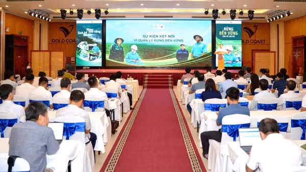 “Sự kiện kết nối vì quản lý rừng bền vững” được tổ chức tại phường Đồng Hới, tỉnh Quảng Trị.