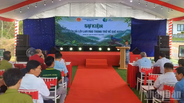 Sự kiện “Chào đón Gà lôi lam mào trắng trở về quê hương” diễn ra chiều 4/8, tại bản Bang, xã Kim Ngân, tỉnh Quảng Trị.