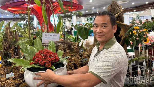 Hơn 80 gian hàng phục vụ người dân, du khách tại Không gian Sâm Ngọc Linh và Dược liệu tại Công viên APEC. (Ảnh: ANH ĐÀO)