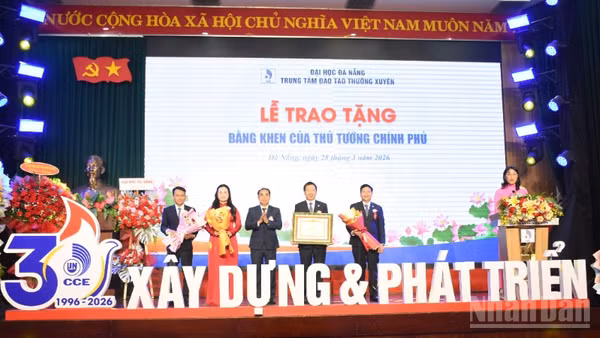 Thừa ủy quyền của Thủ tướng Chính phủ, Phó Chủ tịch Ủy ban nhân dân thành phố Đà Nẵng Trần Anh Tuấn trao tặng Bằng khen cho Trung tâm Đào tạo thường xuyên-Đại học Đà Nẵng. (Ảnh: ANH ĐÀO)