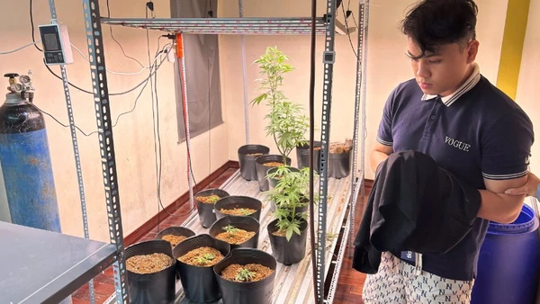 Đỗ Hữu Duy tại khu vực ươm trồng cây cần sa. (Ảnh: Công an cung cấp)