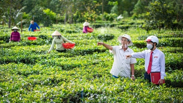 Vai trò của tín dụng xanh trong nông nghiệp.