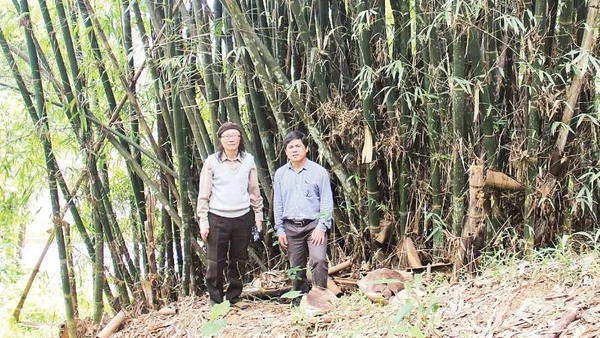 Cán bộ Viện Hàn lâm Khoa học và Công nghệ Việt Nam trong một chuyến nghiên cứu, tìm hiểu về các loại tre trúc tại khu vực Tây Nguyên. (Ảnh DUY MINH)