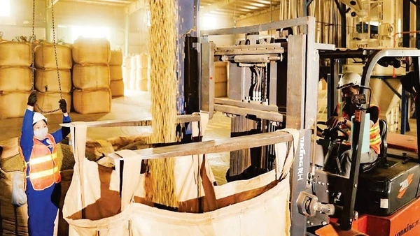 Vận hành sản xuất cà-phê tại Công ty Simexco DakLak. (Ảnh: MINH ANH)