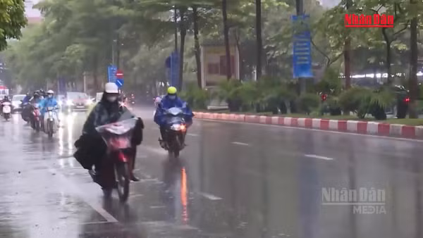 [Video] Miền Bắc tiếp tục có mưa dông trong nhiều ngày tới