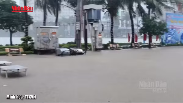 [Video] Dự báo thời tiết ngày 4/7: Bắc Bộ mưa lớn do ảnh hưởng bão số 1