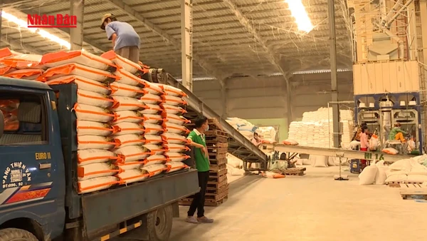 [Video] Xuất hơn 12.700 tấn gạo hỗ trợ người dân dịp Tết Nguyên đán