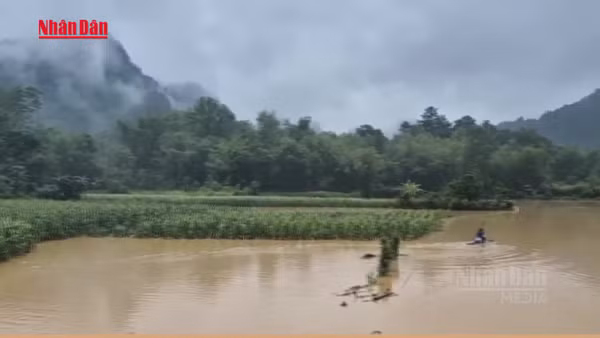 [Video] Mưa hơn 300mm gây ngập sâu tại Cao Bằng, ô tô khách bị lũ cuốn trôi