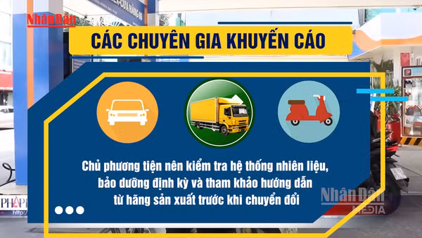 [Video] Người dùng cần lưu ý trước khi chuyển sang sử dụng xăng E10