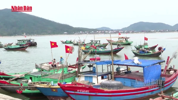 [Video] Bám biển vươn khơi, không quên ngày bầu cử