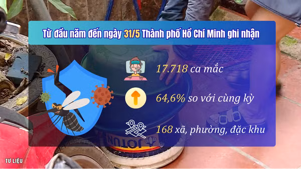 [Video] TP Hồ Chí Minh cảnh giác trước nguy cơ gia tăng sốt xuất huyết Dengue
