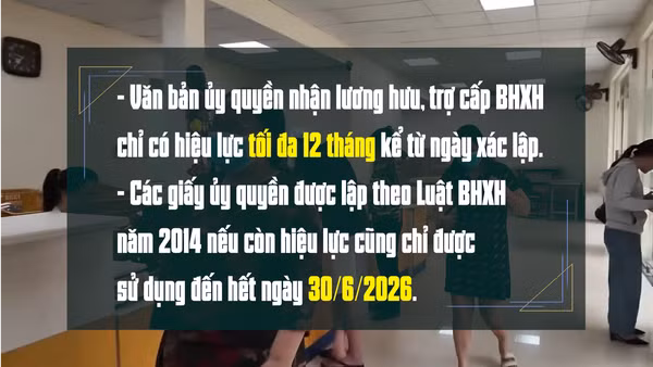 [Video] Chủ động rà soát ủy quyền nhận lương hưu, bảo đảm quyền lợi người hưởng