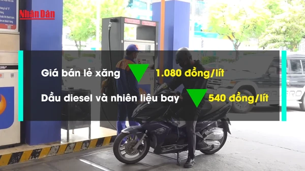 [Video] Đề xuất giảm 50% thuế bảo vệ môi trường đối với xăng, dầu