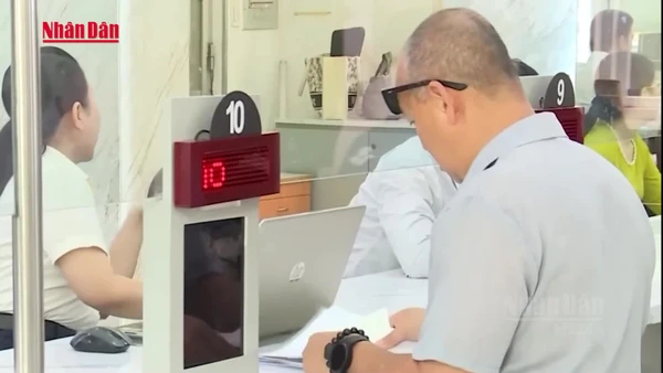 [Video] Từ ngày 1/4, triển khai điều tra cơ sở hành chính, sự nghiệp trên toàn quốc