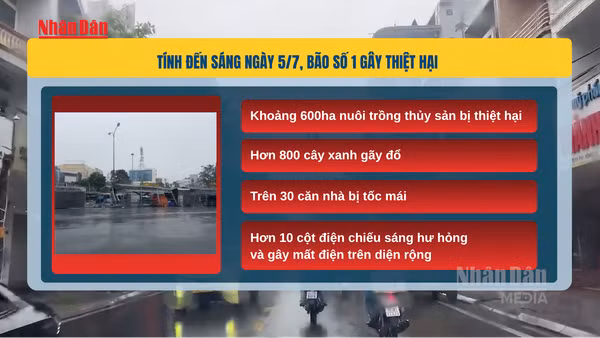 [Video] Bão số 1 gây thiệt hại tại Móng Cái, hàng chục nhà tốc mái, hàng trăm cây xanh gãy đổ