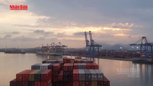 [Video] Giảm tối thiểu 10% giá dịch vụ hoa tiêu hàng hải cho tàu biển Việt Nam