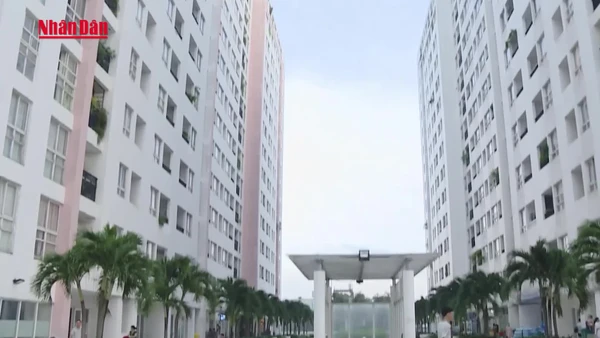 [Video] Nhiều chủ nhà “vỡ mộng” đầu tư cho thuê chung cư 