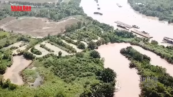 [Video] Thành phố Hồ Chí Minh rà soát quỹ nhà, đất tái định cư, tránh lãng phí