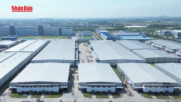 [Video] AMRO dự báo Việt Nam dẫn đầu tăng trưởng ASEAN+3 năm 2026