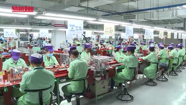 [Video] Tăng lương, thêm đãi ngộ để hút lao động đầu năm