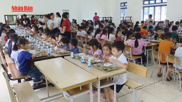 [Video] Bộ Y tế yêu cầu siết chặt ATTP bếp ăn trường học sau vụ 300 tấn thịt lợn bệnh