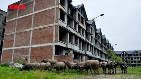 [Video] Có thể điều tra, truy tố và xét xử hình sự hành vi lãng phí đất đai