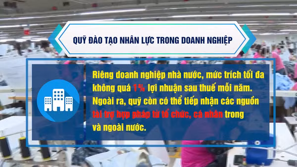 [Video] Đề xuất thành lập Quỹ đào tạo nhân lực trong doanh nghiệp