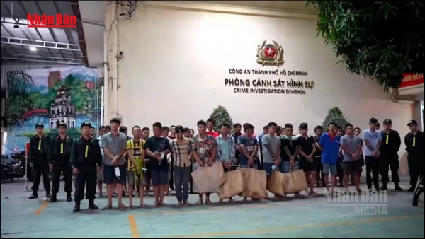 [Video] Triệt phá sòng bạc và trường gà quy mô lớn tại TP Hồ Chí Minh