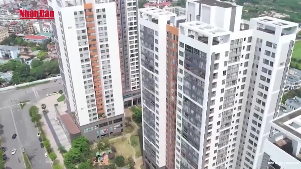 [Video] Từ năm 2026, thuế đối với người có nhiều nguồn thu nhập sẽ được xác định riêng rẽ