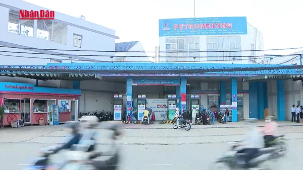 [Video] Ngăn bán cầm chừng xăng dầu, bảo đảm thị trường Tết ổn định