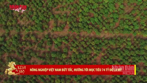 [Video] Nông nghiệp Việt Nam bứt tốc, hướng tới mục tiêu 74 tỷ Đô la Mỹ