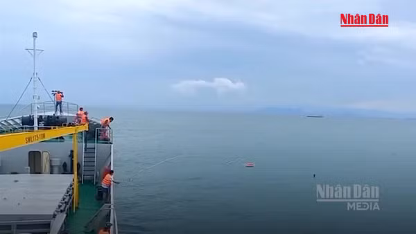 [Video] Cô gái không biết bơi sống sót sau 8 giờ bị sóng cuốn ở Đà Nẵng