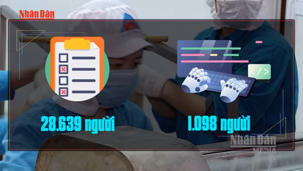 [Video] Gần 30.000 người ở TP Hồ Chí Minh nộp hồ sơ hưởng trợ cấp thất nghiệp