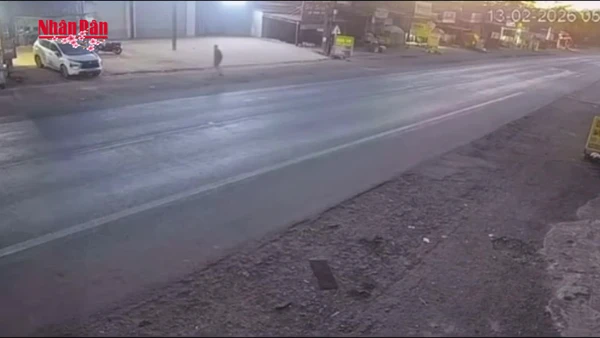 [Video] Tai nạn giao thông nghiêm trọng tại Lâm Đồng, 3 người tử vong