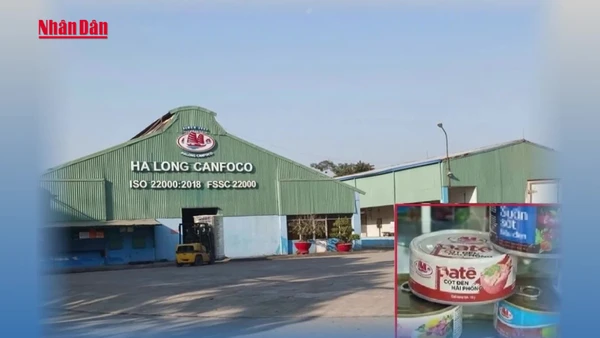 [Video] Bắt khẩn cấp Tổng Giám đốc Công ty CP Đồ hộp Hạ Long 