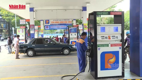 [Video] Triển khai chính sách thuế nhập khẩu 0% đối với mặt hàng xăng dầu