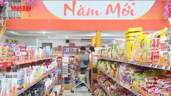 [Video] Nguyên tắc xử phạt vi phạm về thuế, hóa đơn theo quy định mới