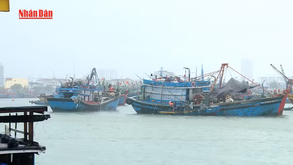 [Video] Bộ Công Thương yêu cầu chủ động ứng phó bão số 1 và mưa lũ sau bão