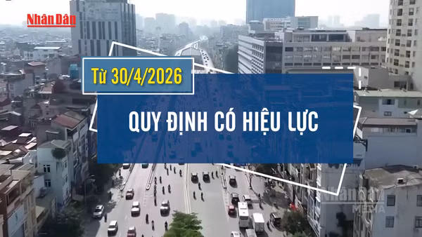 [Video] Xe bán tải, xe hợp đồng dưới 29 chỗ ngồi được lưu thông không hạn chế trong nội đô Hà Nội 