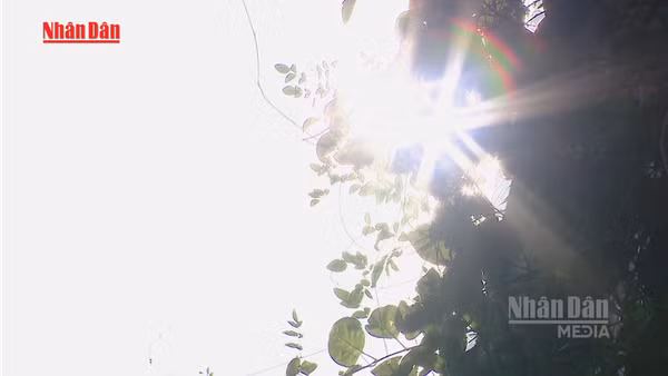 [Video] Dự báo nắng nóng gay gắt trên diện rộng trong tháng 5