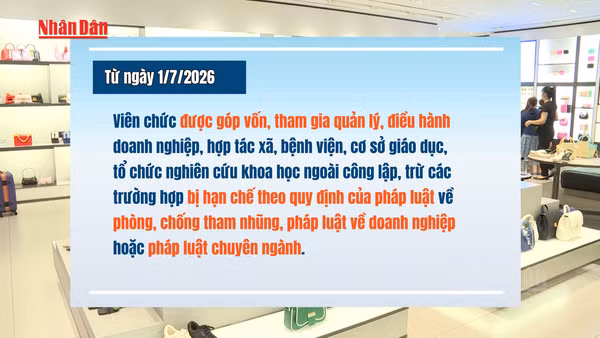 [Video] Từ 1/7/2026, viên chức được góp vốn, tham gia quản lý doanh nghiệp