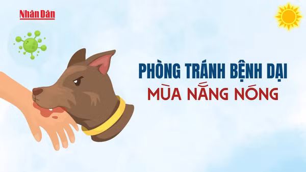 [Video] Phòng tránh bệnh dại mùa nắng nóng