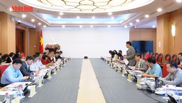 [Video] Thẩm tra sơ bộ dự án Luật Tín ngưỡng, tôn giáo (sửa đổi)