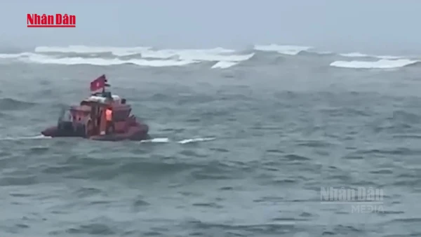 [Video] Chìm thuyền đánh cá ở Quảng Trị, 1 ngư dân mất tích