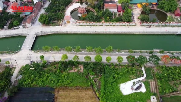 [Video] Nhiều chính sách mới tác động thị trường bất động sản từ đầu năm